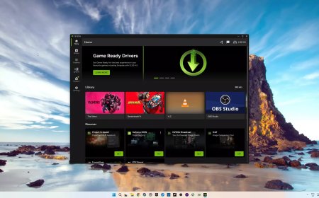 Does the Nvidia App Hurt Performance? We Benchmarked It.