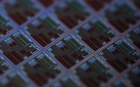 US firms still dominate chip subsidies