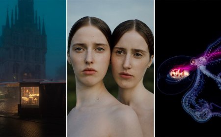 The 7 Spectacular Winners of the Hasselblad Masters 2026 Photo Contest