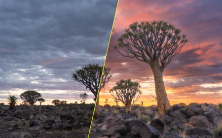 Chasing the Light: Tips for Dramatic Landscapes