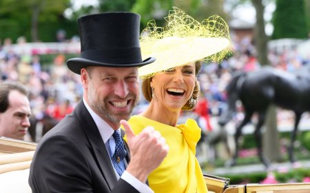 Humiliating moment Prince William rejected The Project star Sarah Harris' phone number: 'I was following him around'