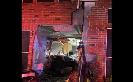 Doorbell cam filmed Tesla Autopilot crash that killed woman in her home