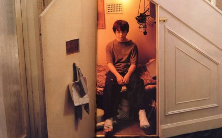 7 Things About Harry Potter Book 1 Everyone Forgets
