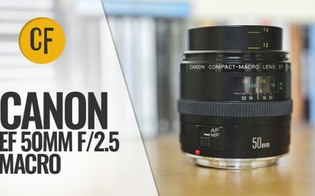 The Canon EF 50mm f/2.5 Compact Macro Is 40 Years Old. Here's How It Holds Up.