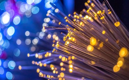 Jiangsu's first AI-powered 10 Gbps all-optical campus network launched at Southeast University