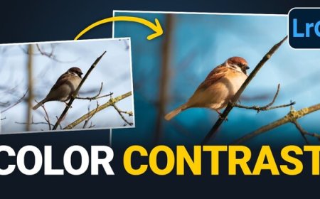 The Lightroom Masking Trick That Separates a Flat Bird Shot From a Striking One