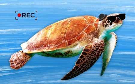 China’s Ministry of State Security Accuses ‘Spy Turtles and Spy Fish’ of Stealing Sensitive Marine Data