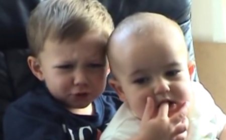 ‘Charlie Bit My Finger’ Video Officially Preserved by British Film Institute