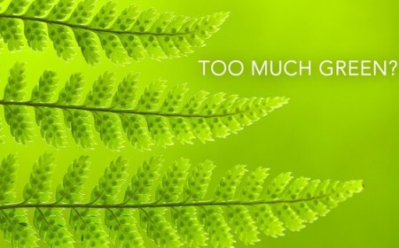 How to Shoot the 'Boring' Green Season and Actually Get Keepers
