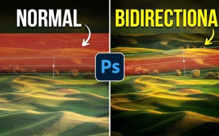 Camera Raw 18.4 Finally Has the Gradient Feature Photographers Have Wanted for 10 Years