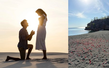 Photographer Cleans Up Hundreds of Plastic Rose Petals Left Behind on Beach