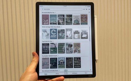 I asked published authors about their favorite e-readers - and the Kindle isn't the only pick