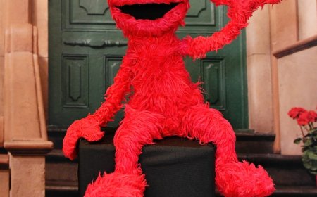 Sesame Street's Elmo Reacts to Being Bullied for New York Knicks Tweet