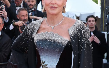 Sharon Stone Says Husband's Reaction to Breast Removal Ended Marriage