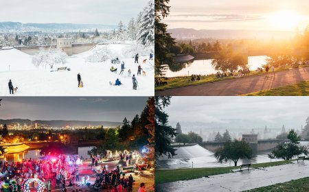 Photographer Has Been Shooting the Same Park in Portland for the Last Four Years