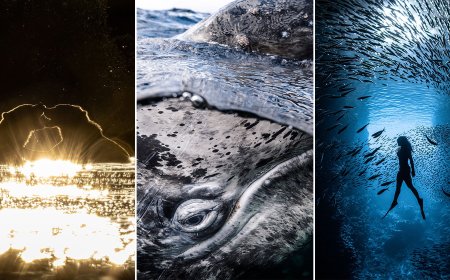 13 Award-Winning Photos From the UN World Oceans Day Contest