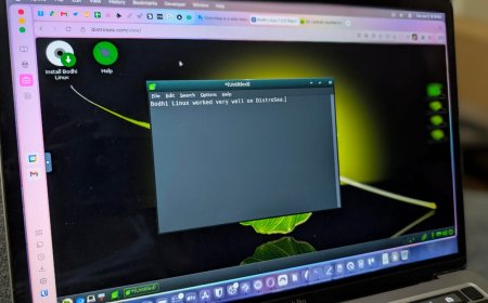 How to try out over 85 Linux distros, no installation required - with DistroSea