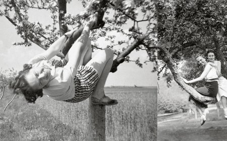 Collector Scours Flea Markets for Vintage Photos of Women in Trees