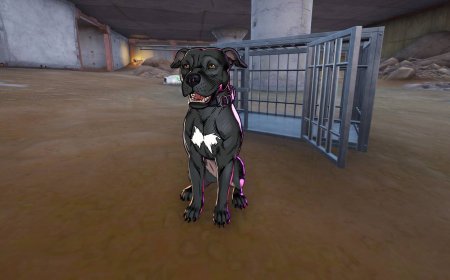 John Wick's Dog location in Fortnite Chapter 7 Season 3