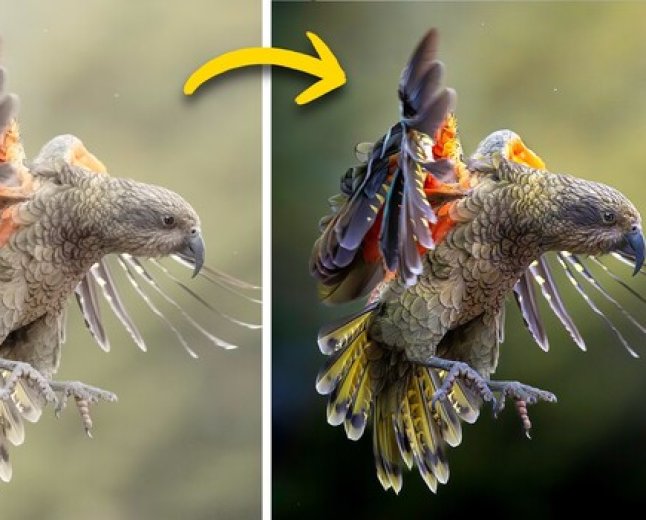 How to Make Your Subject Pop Using Lightroom and Photoshop