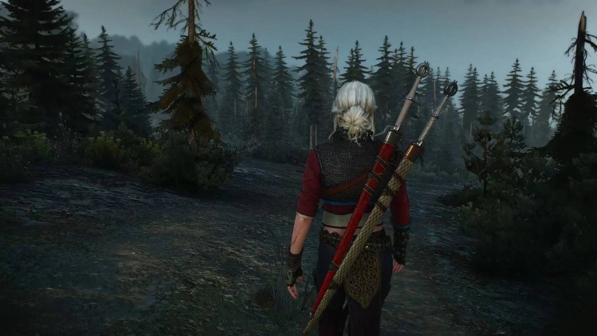 The Witcher: Dawn Over Kovir Replaces Geralt As Our Hero