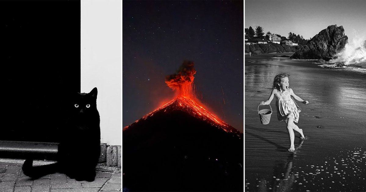 16 Award-Winning Photographers Showcase the Power of iPhone