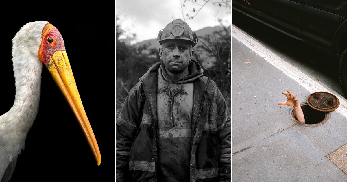 The Inspiring Winners of the 41st AOP Student Photography Awards