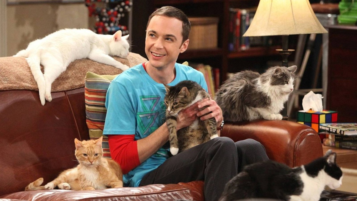 5 Big Bang Theory Spinoffs That Should Happen After Stuart Fails To Save The Universe