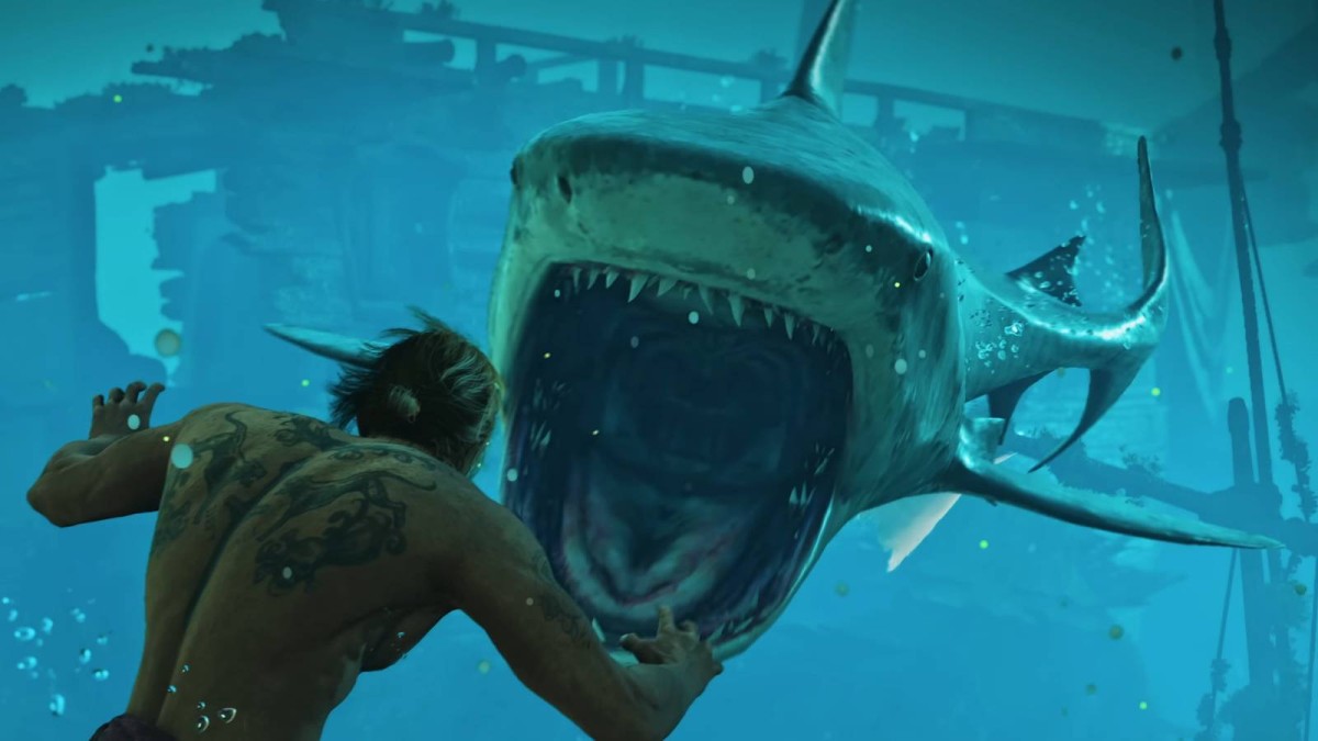 Assassin's Creed Black Flag Resynced: Where To Find The Lowest Point On The Map