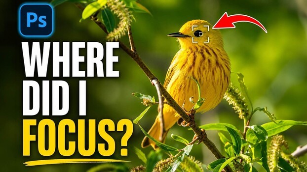 See Your Focus Points in Camera Raw: The Setting Hiding in the Right-Click Menu