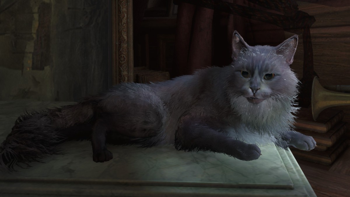 Assassin's Creed Black Flag Resynced: Every Ship Pet & How To Unlock Them