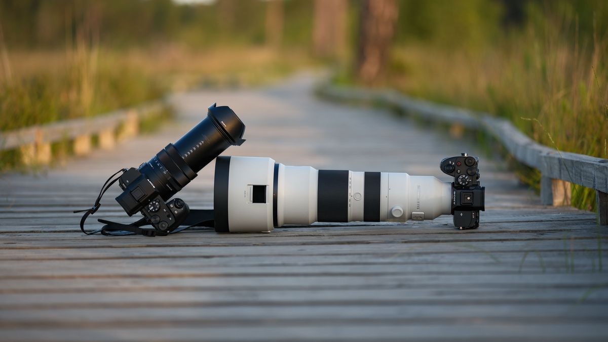 I took the new Sony RX10 V superzoom and a pro Sony mirrorless camera with 400-800mm lens on a bird photography trip — here’s how the two systems compared