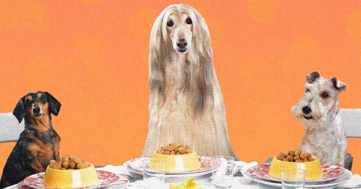 We Make Lovely Home-Cooked Meals for Ourselves. Why Not Do the Same for Our Dogs?