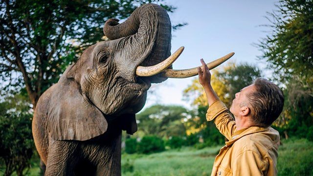 How to watch Evolution from anywhere – it's *FREE*