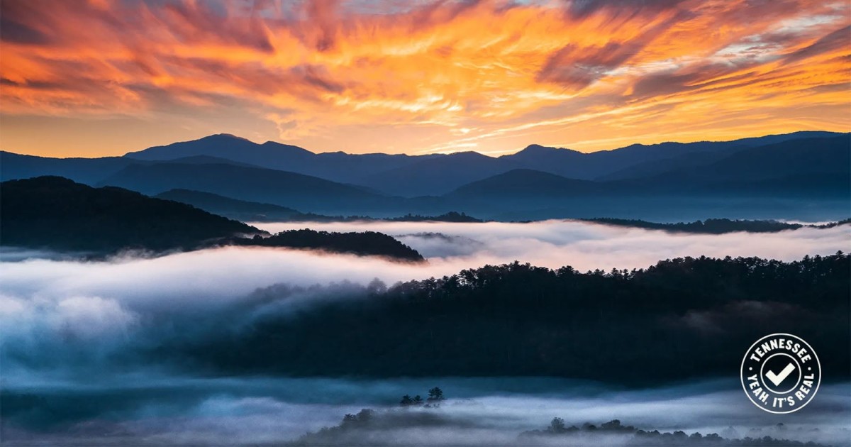 Tennessee Tourism Celebrates Real Photographers by Banishing AI Images