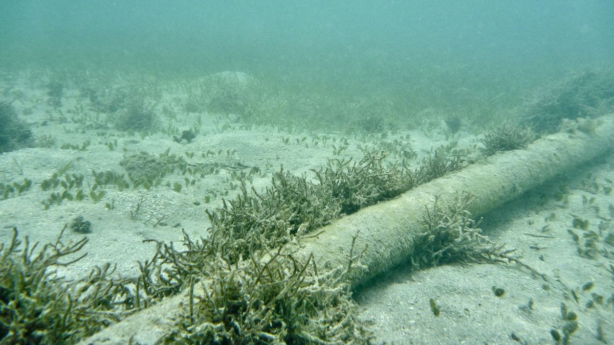 Oregon will start charging service providers for undersea cables using its sea floor — millions accrued over years will go toward state schools