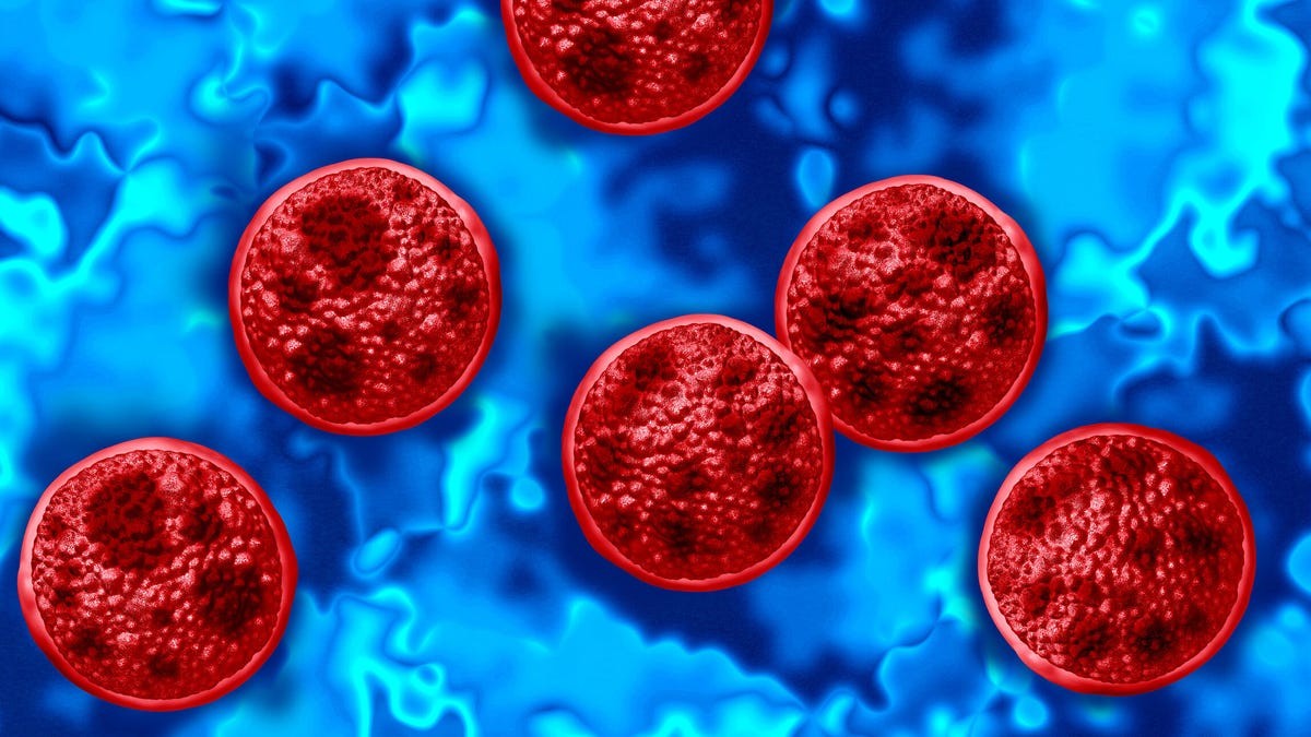 A Diarrhea-Causing Parasite Is Spreading. Should You Stop Eating Salad?