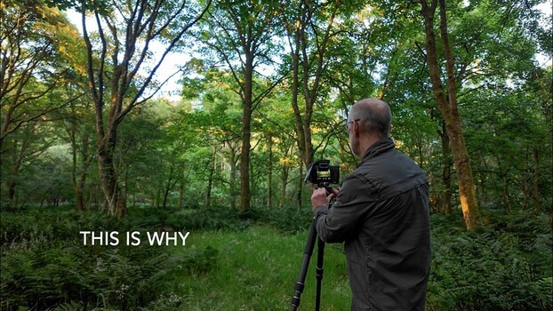 Why 5 a.m. in the Woods Beats Perfect Weather Every Time