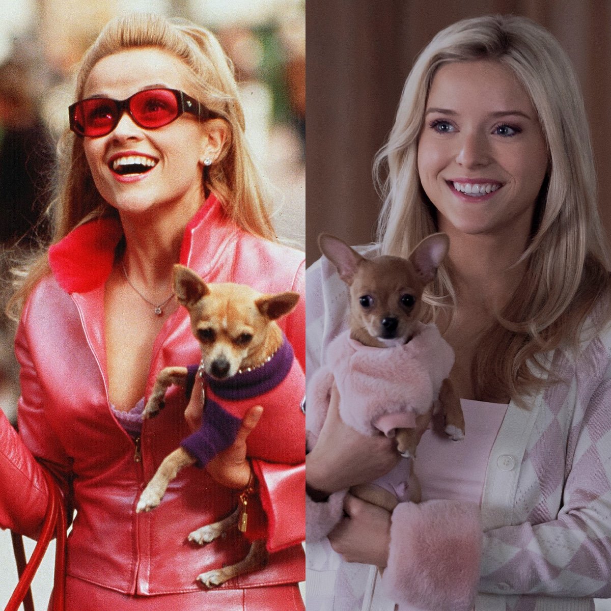 How Elle Woods' Origin Story in Elle Differs From Legally Blonde