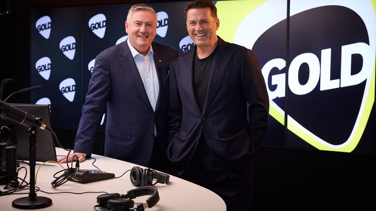 Karl Stefanovic dumped from ARN radio show after his exit from Today following controversial Tommy Robinson interview... as his new joint venture with Kyle Sandilands is revealed