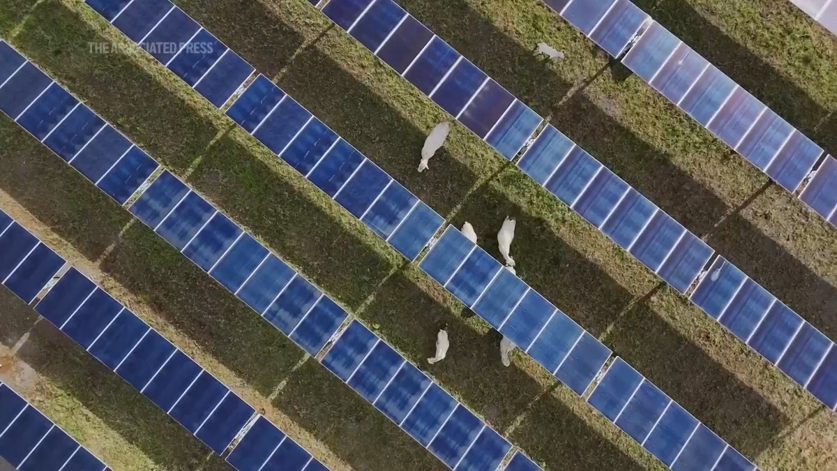 'The end of an era': China enforces mandatory rule to cull inefficient solar panels, signals end of ultra-cheap PV price wars
