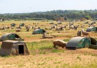 This British farm is running AI on pig muck — and it could lead to a major windfall for farmers energy income, earning ten times more than the grid