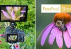 Neewer’s Bright F700U OLED Monitor Earned a Place in My Camera Bag