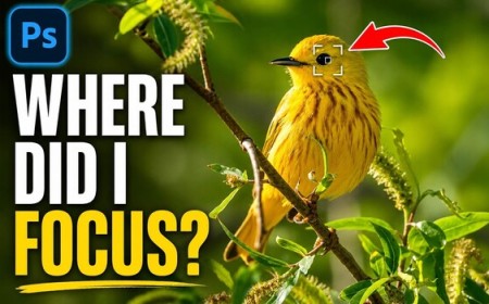 See Your Focus Points in Camera Raw: The Setting Hiding in the Right-Click Menu