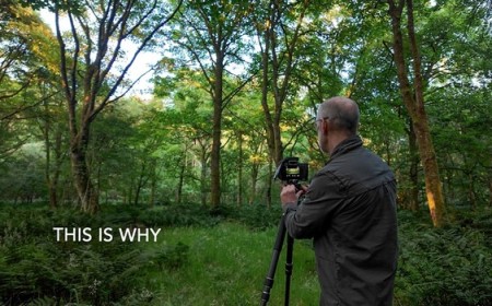 Why 5 a.m. in the Woods Beats Perfect Weather Every Time