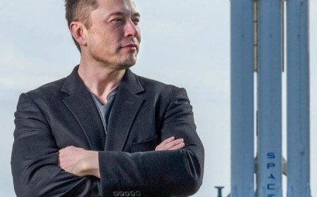 Elon Musk calls for independent AI regulatory agency in US