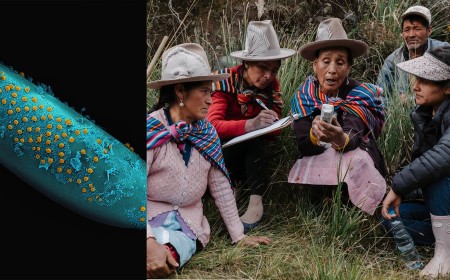 This Free to Enter Photo Competition Has a $70,000 Total Prize Fund