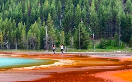 Tourists Risk Their Lives On Yellowstone’s Grand Parismatic Spring for Photos