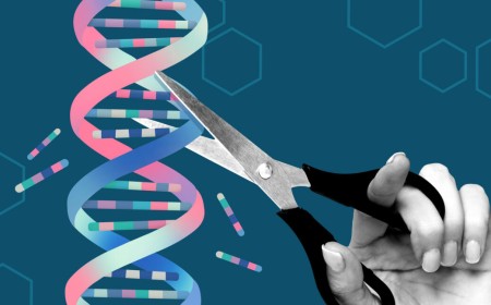 Team uses AlphaFold AI to redesign gene-editing proteins to make them safer