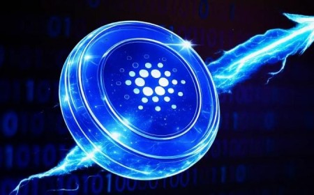 Cardano key stakeholder holdings hit 3.5-year high as whales accumulate